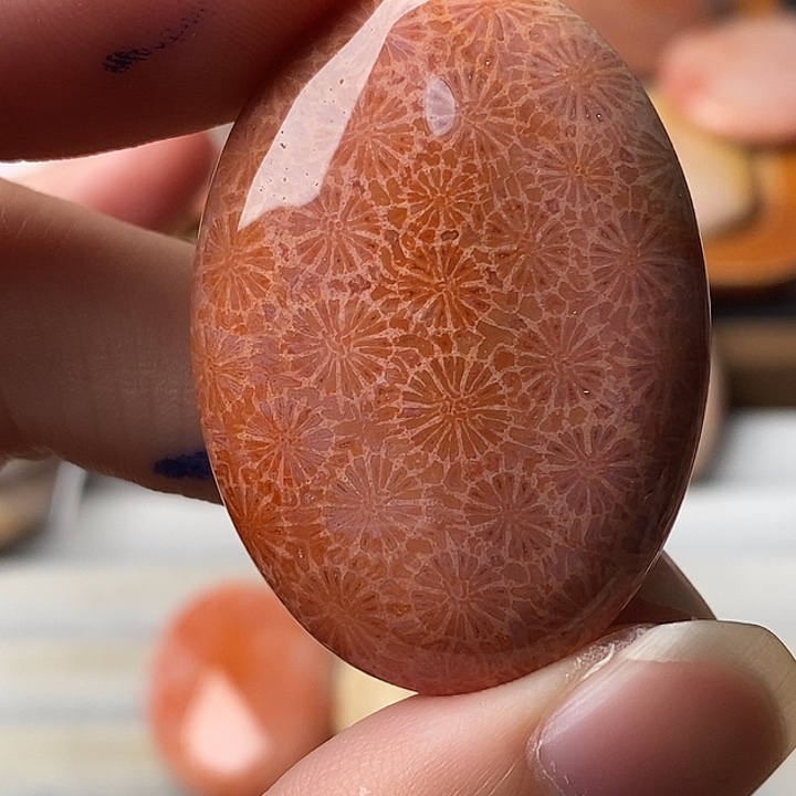 T***y硅化珊瑚未镶嵌颈饰