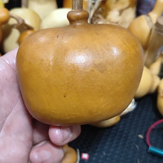 玛***。回来哈哈哈哈哈哈哈