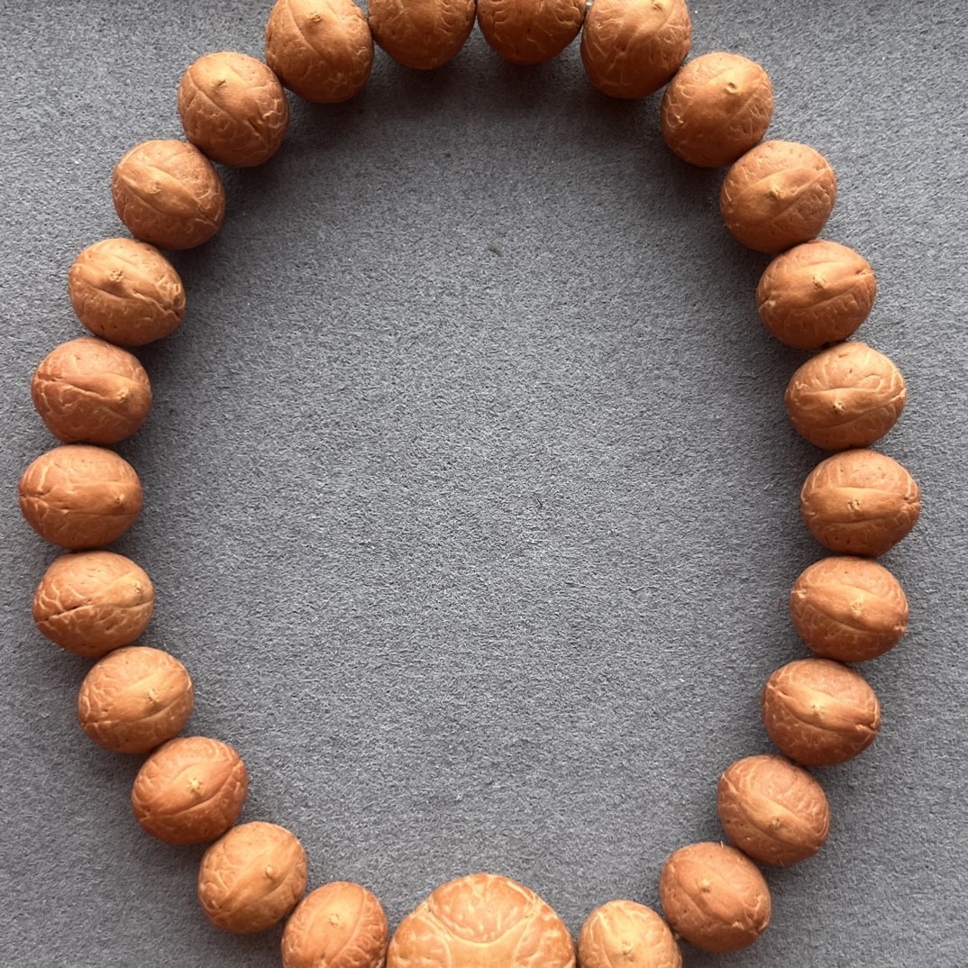 16实心籽同树飞碟桩红皮，10.55-10.8+，24颗备2颗，25年籽，一物一图