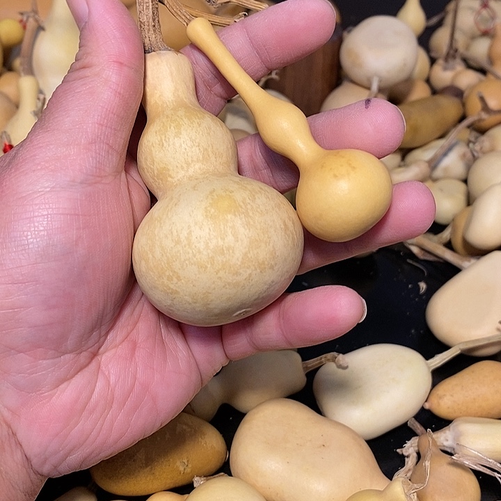 用****8精品葫芦手把葫芦48