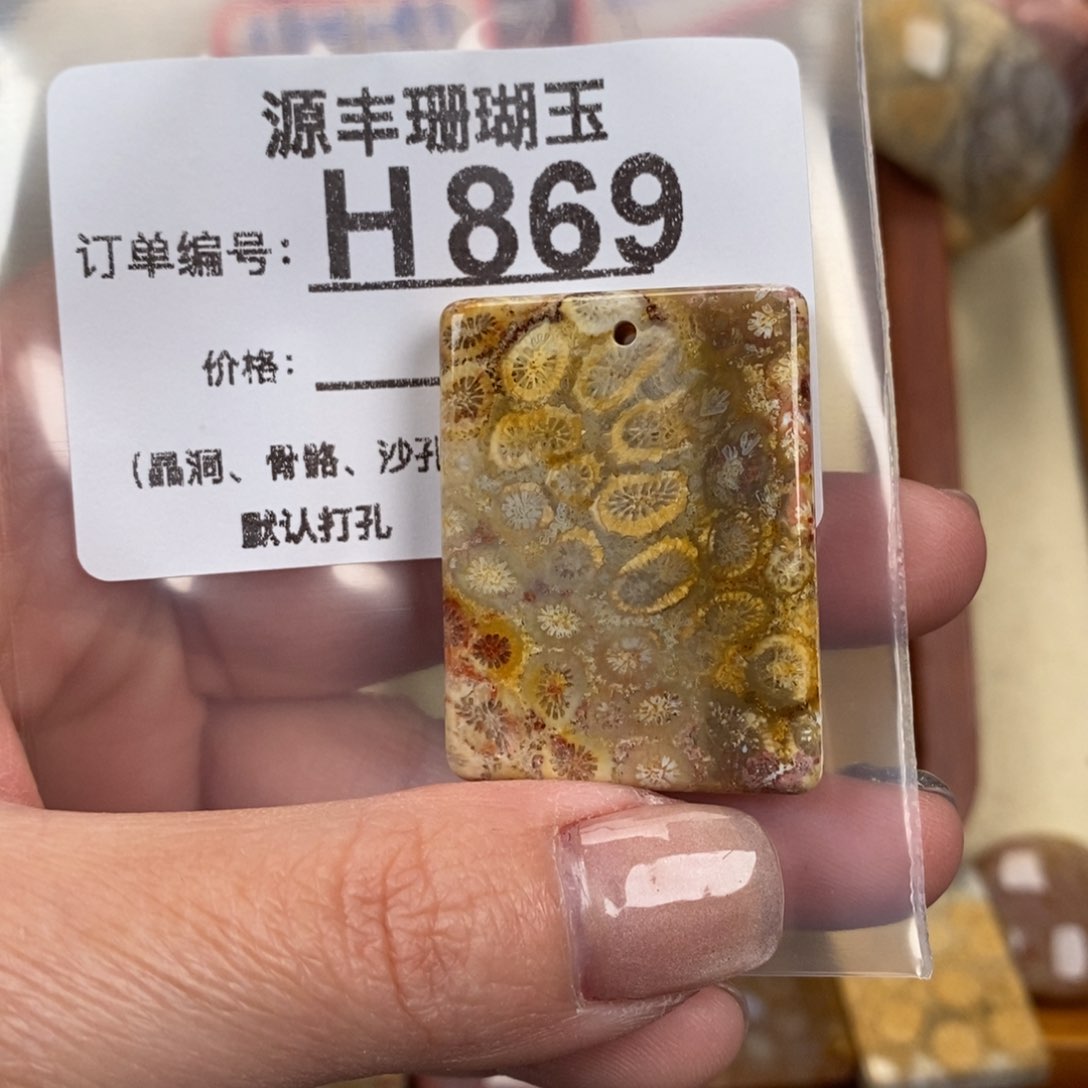 硅化玉颈饰未镶嵌S****?