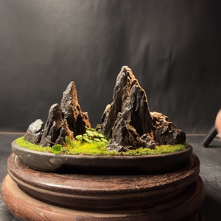 009手工制作盆景制作