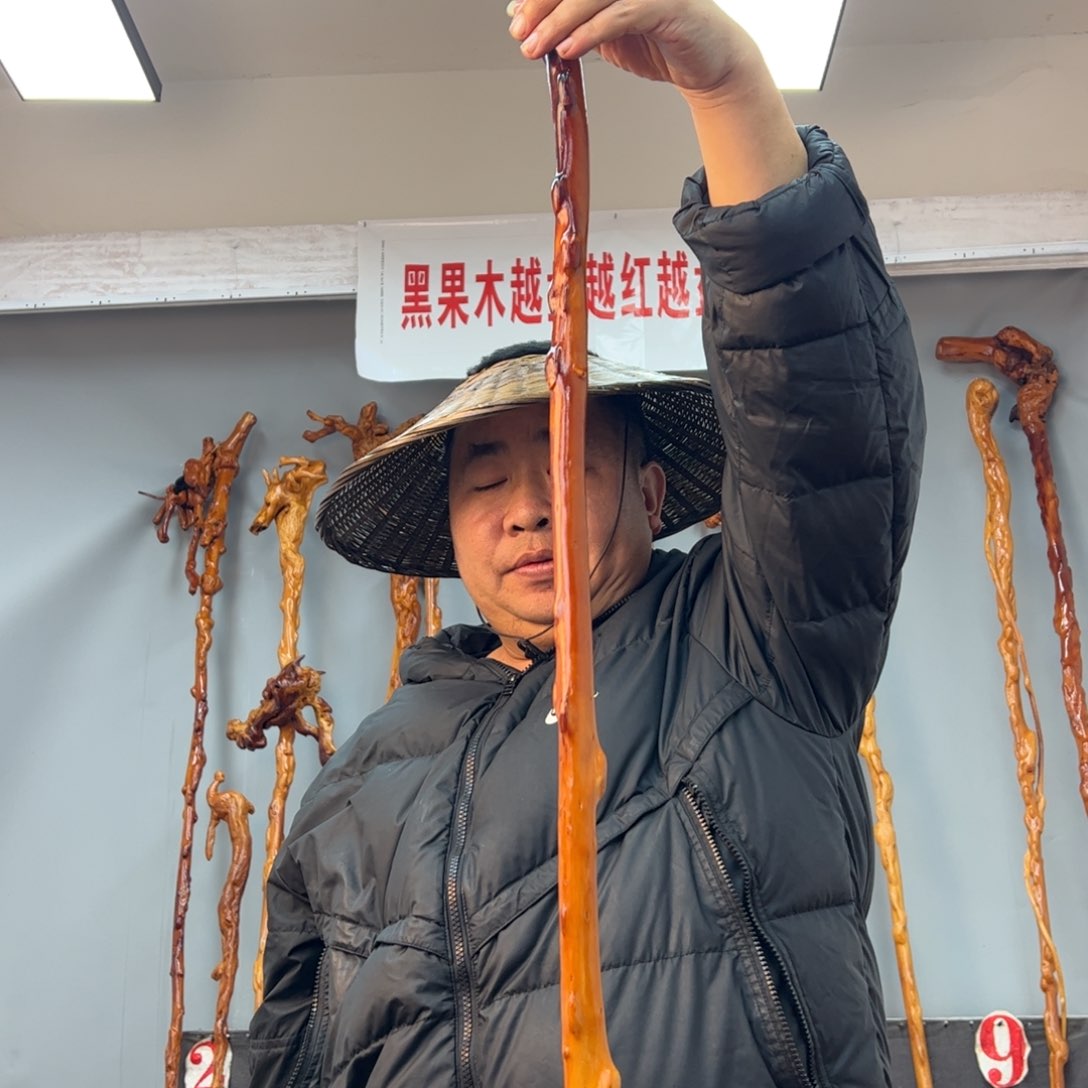 黑果木其他让**飞黑果木505