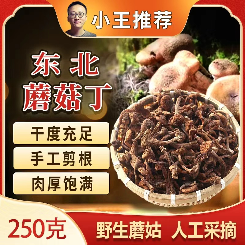 【小王推荐】新鲜采摘野生蘑菇丁小鸡炖蘑菇丁干货去根250克一包