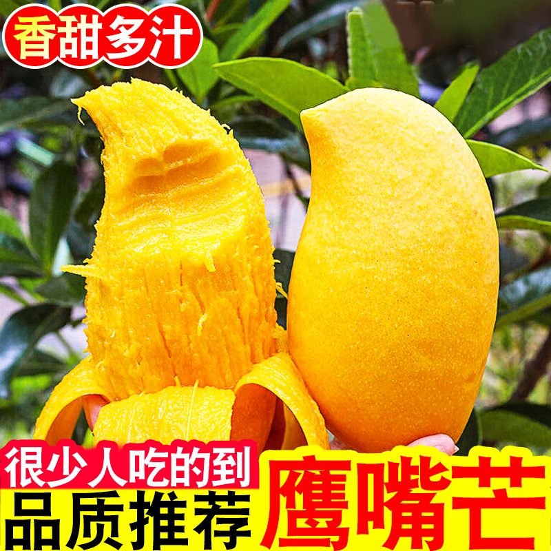 云南高山黄皮鹰嘴芒果超甜应季新鲜水果