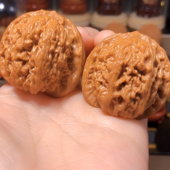 野生小众：蚂蚁沟全品