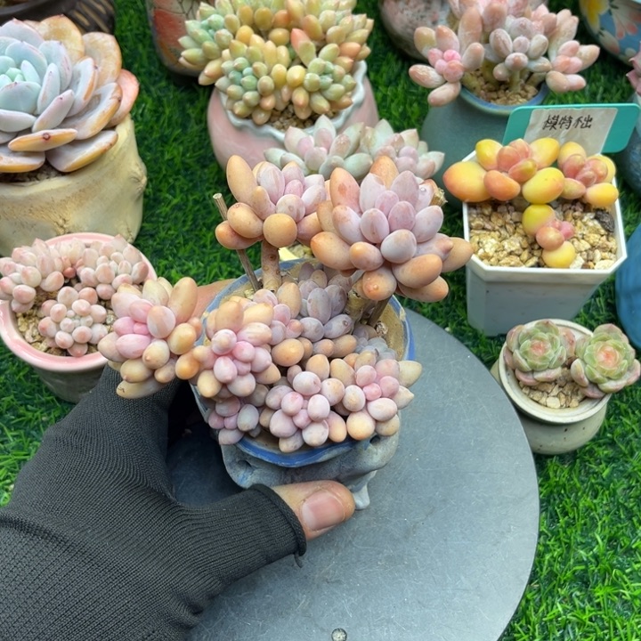 t lo k s lo o kun o o