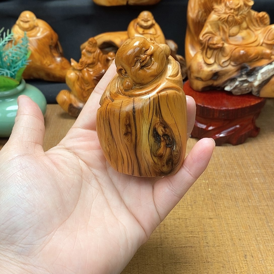 柏木（崖柏）一物一图