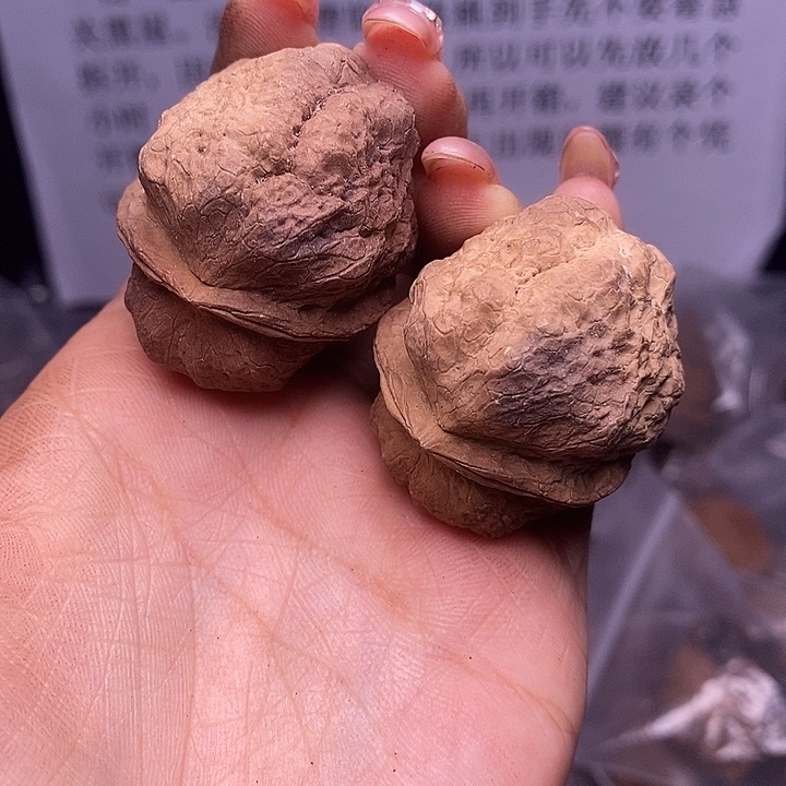 核桃云南野生铁核桃162号40mm