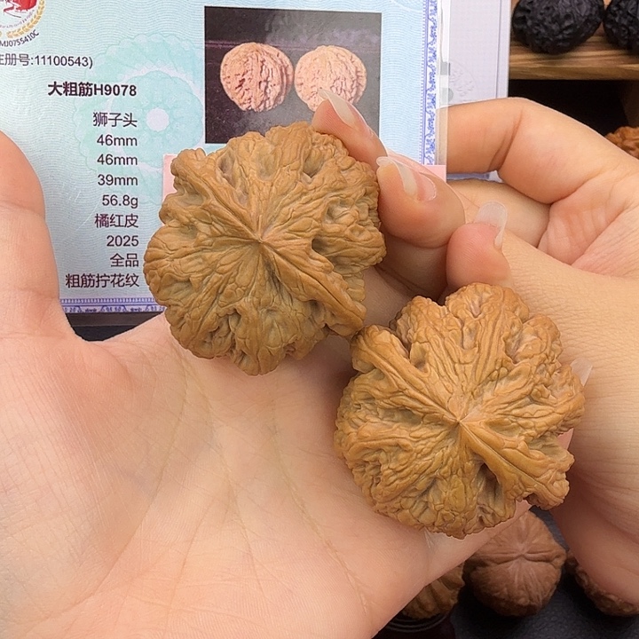 文玩核桃把件46精配大粗筋H9078