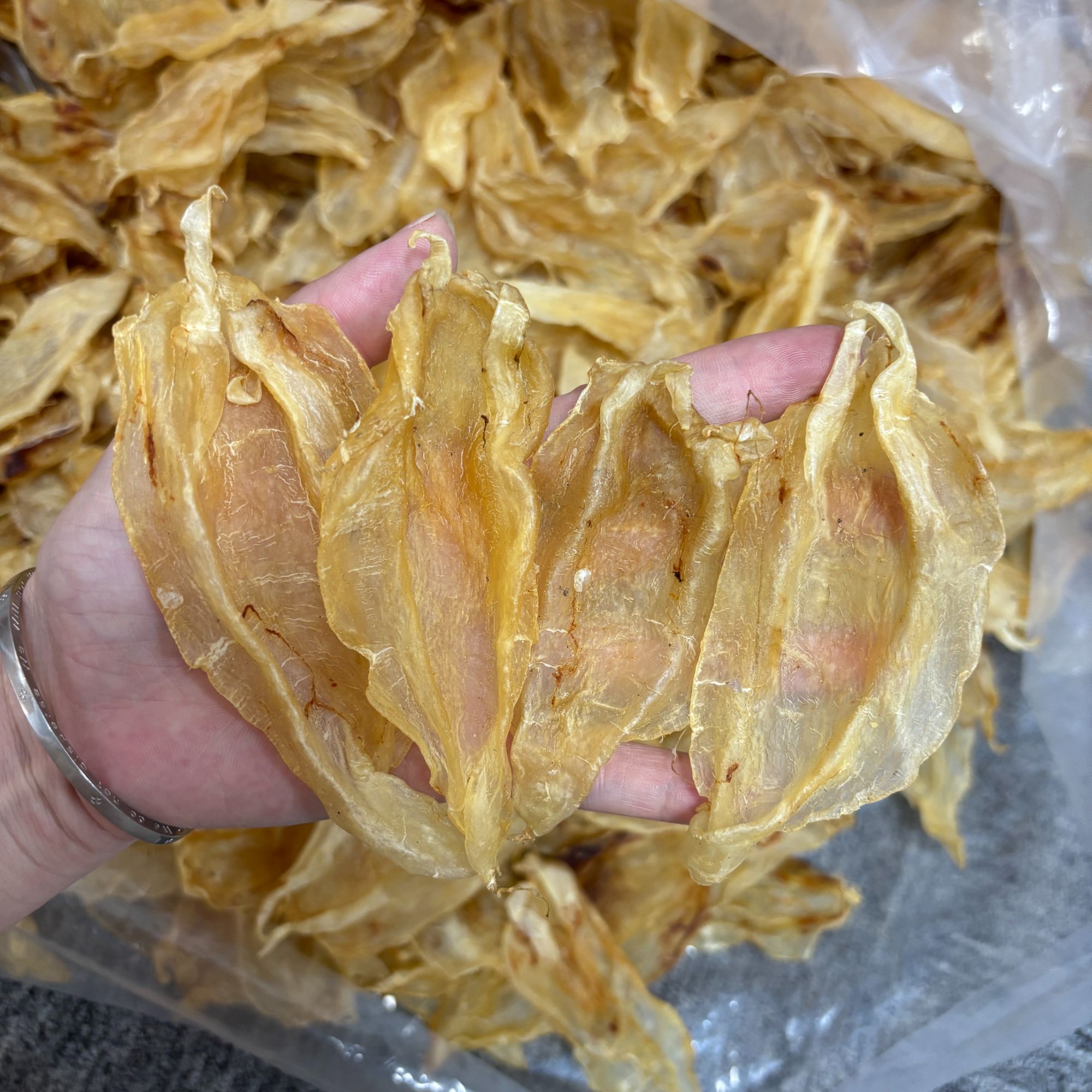北海公胶 北海母胶 北海胶优质好 胶原 足干腥味低