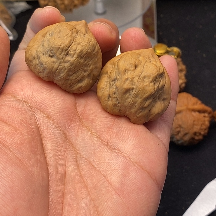 吊坠龙脊菩提古蝉