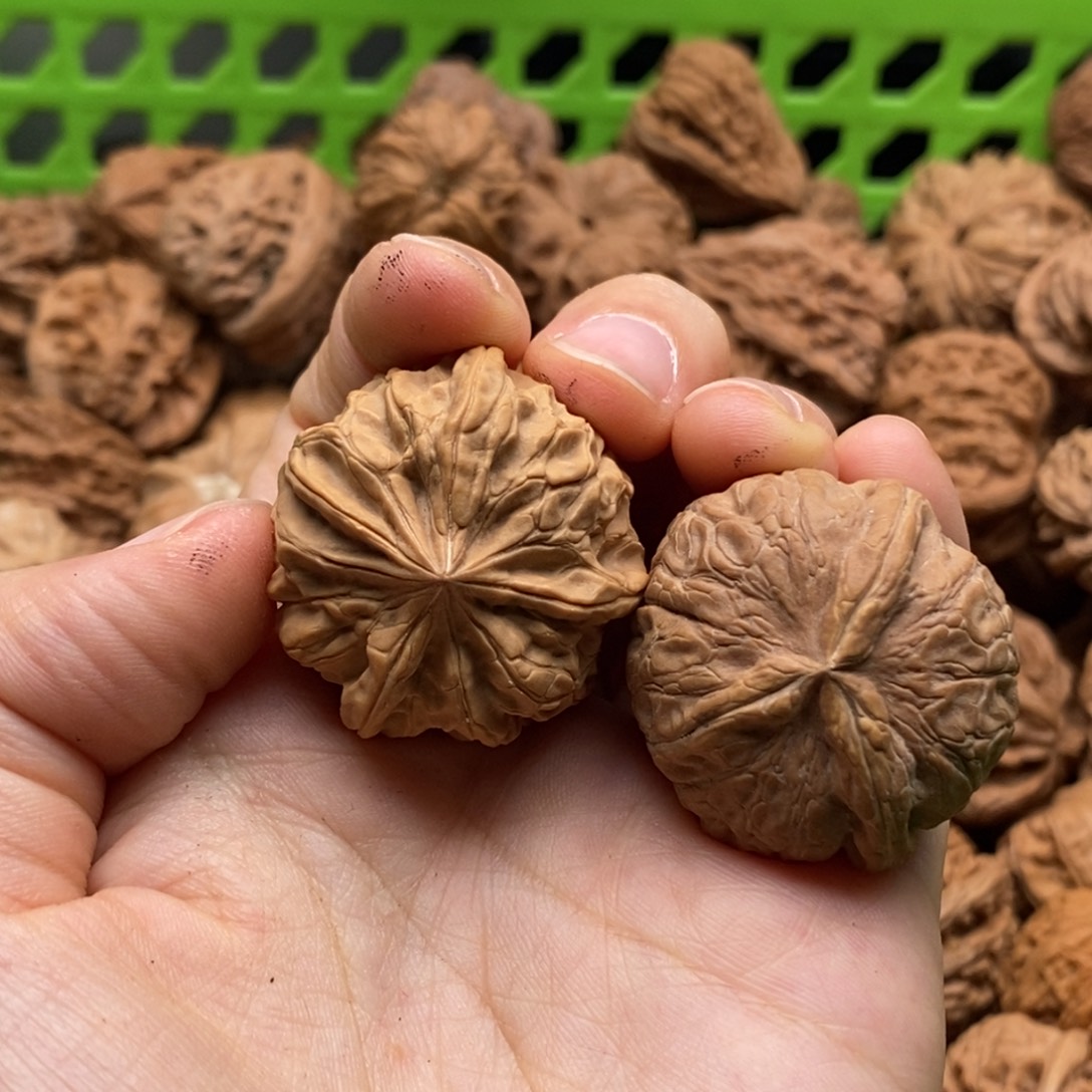 岁***静核桃定制商品不退不换