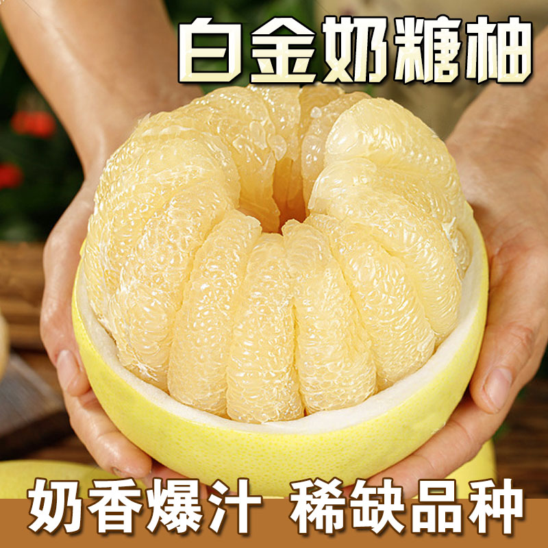 白金奶糖柚白心蜜柚新鲜当即应季清甜多汁现摘熟孕妇柚子