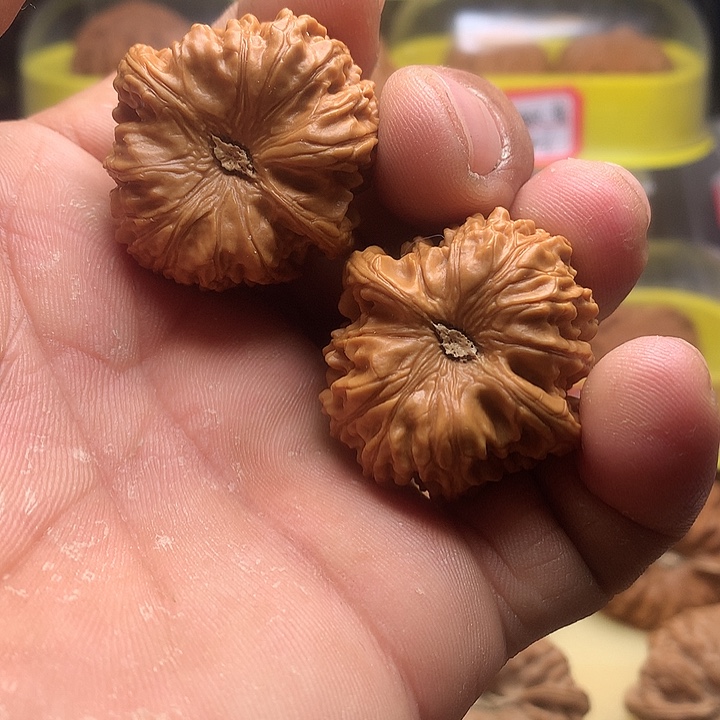 吊坠文玩核桃野生果34