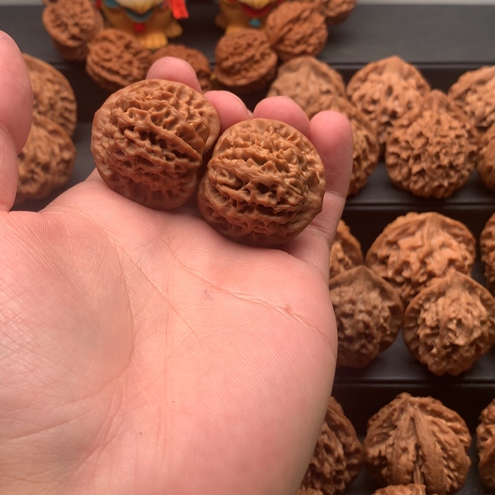 其他核桃书*秦岭秦闷