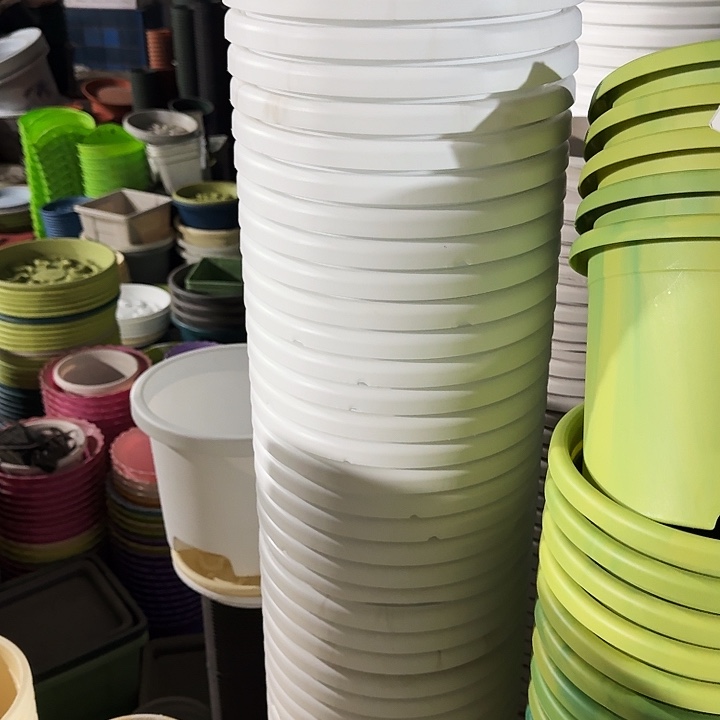 缺口4#口径25白色10个无托593