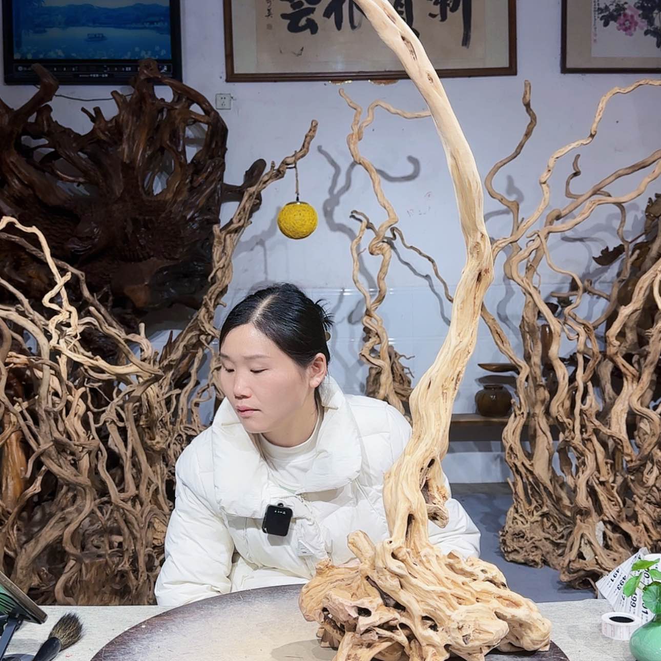 【闪购商品】核桃木/黑胡桃（胡桃木）阿*