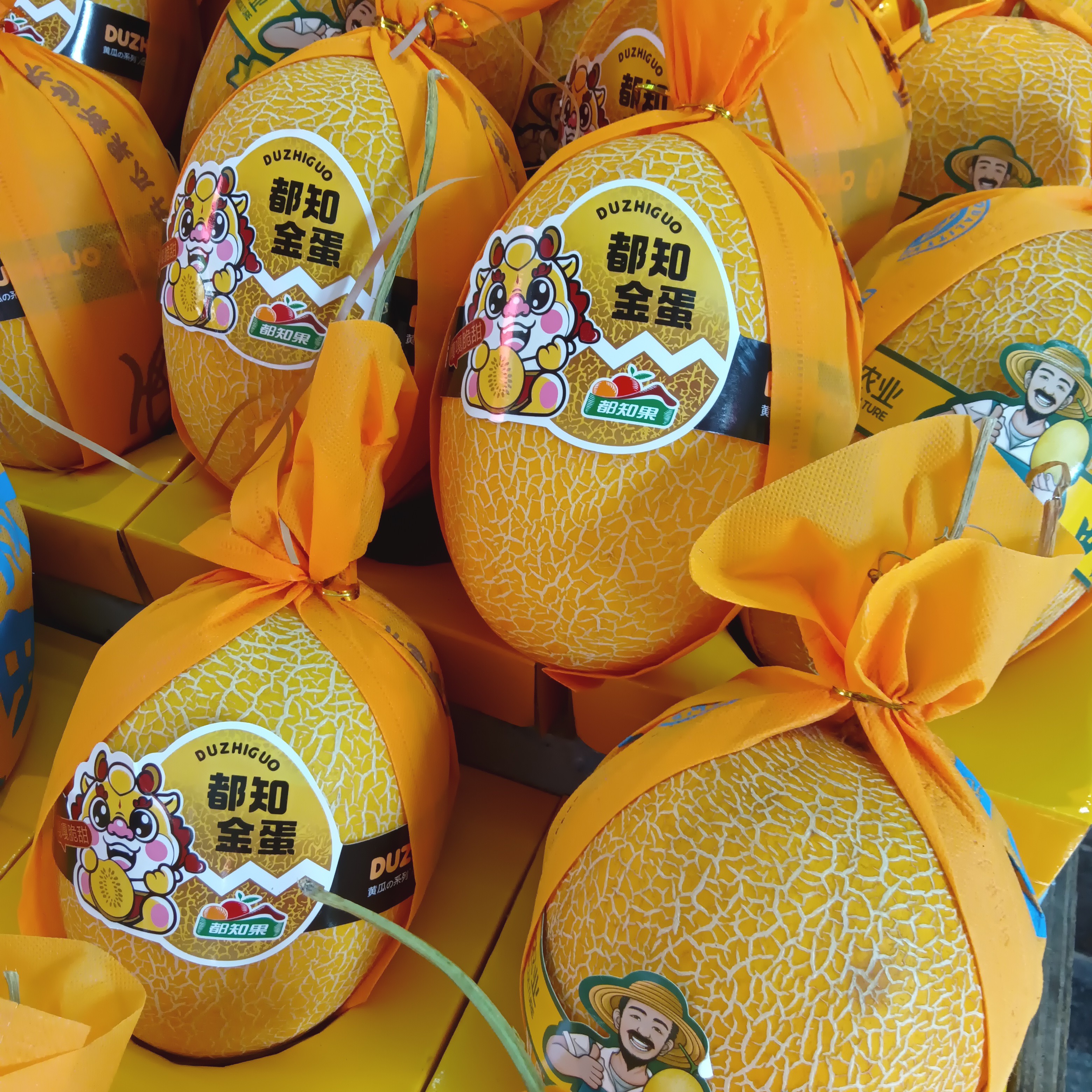 都之金蛋都之果大概1700g哈密瓜