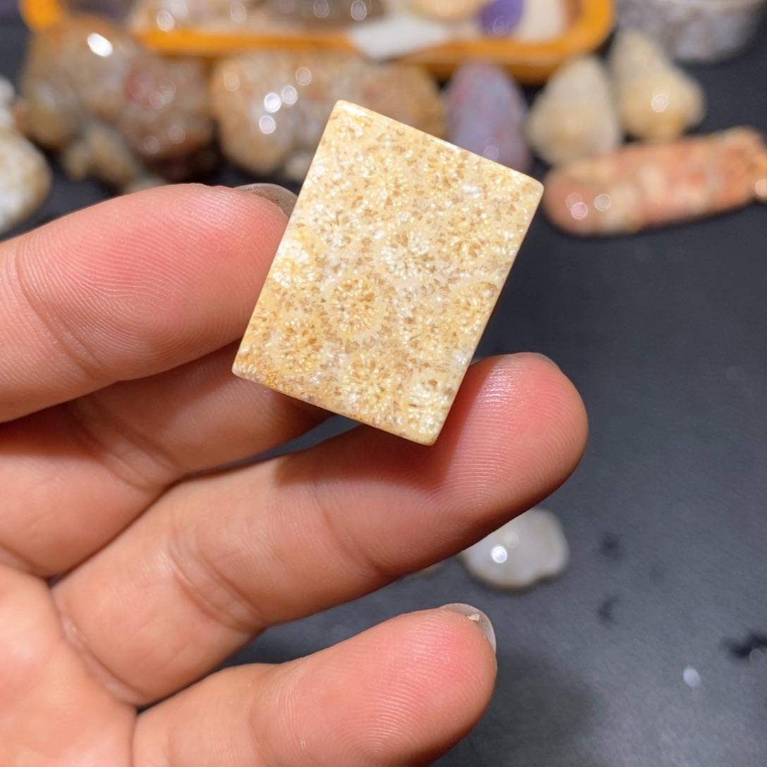【闪购商品】硅化玉颈饰未镶嵌