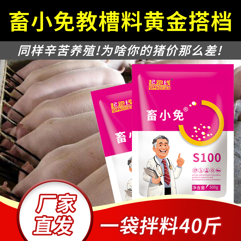 【教槽伴侣】起跑线畜小免饲料添加剂补充营养仔猪乳猪母猪可用