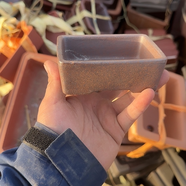 没有你也是最开心滴日子吧啊这不都