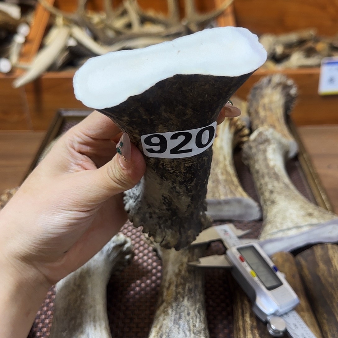 鹿骨手串/手链920刀柄弹弓