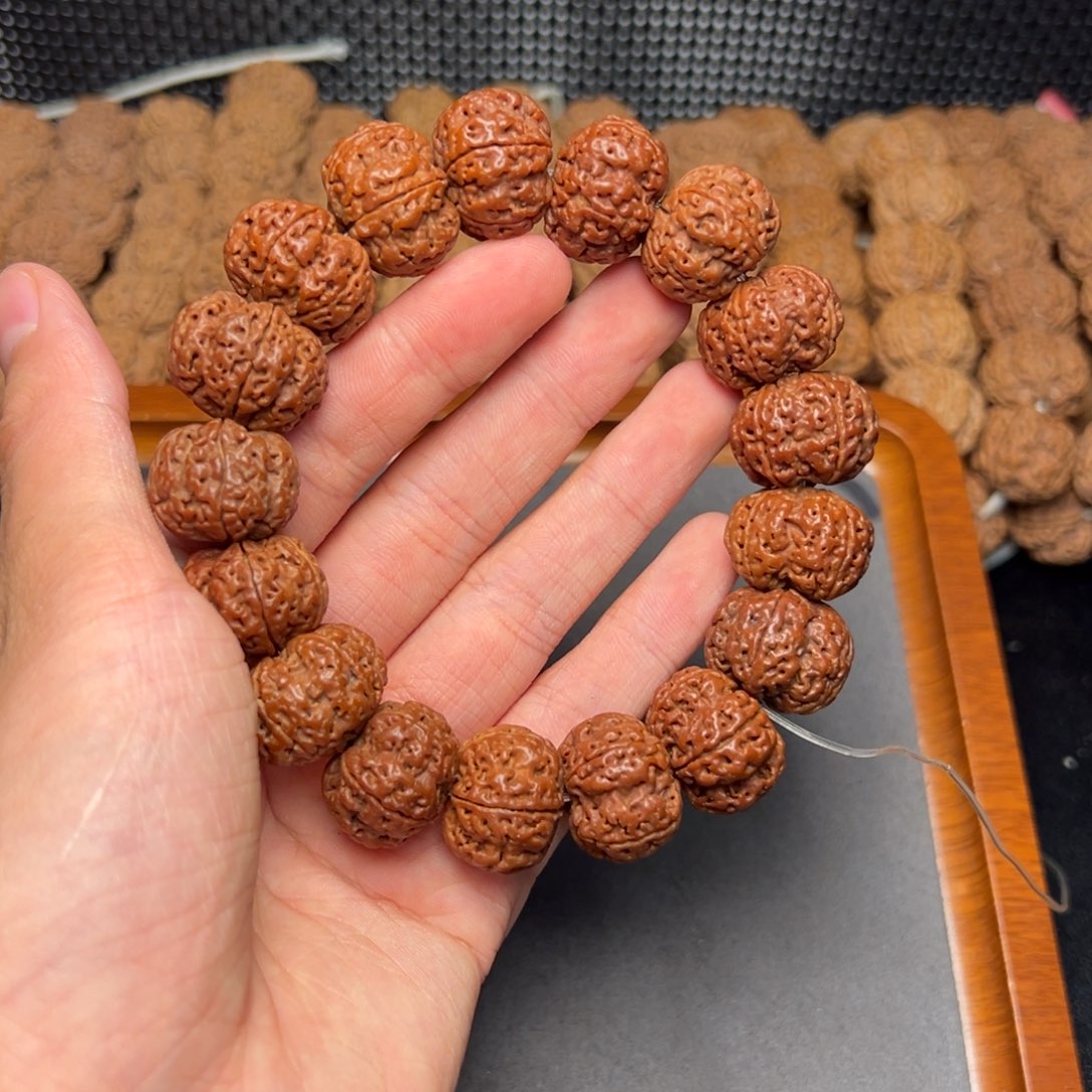 菩提1号尼泊尔大金刚20梅花