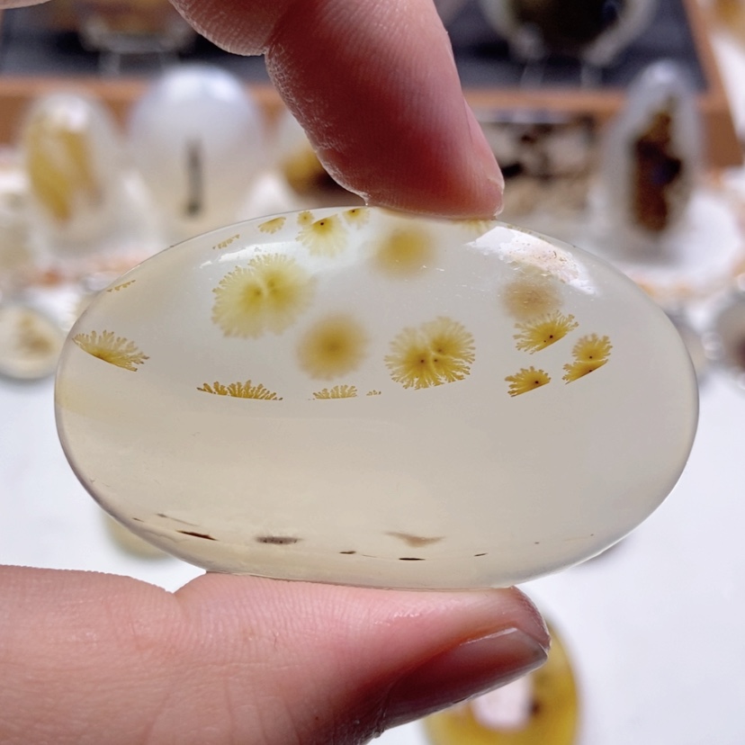 【闪购商品】玛瑙/玉髓颈饰未镶嵌