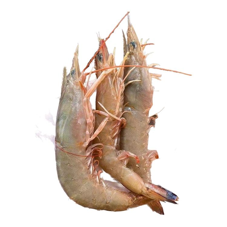 野生麻虾（500g/盒，速冻锁鲜）