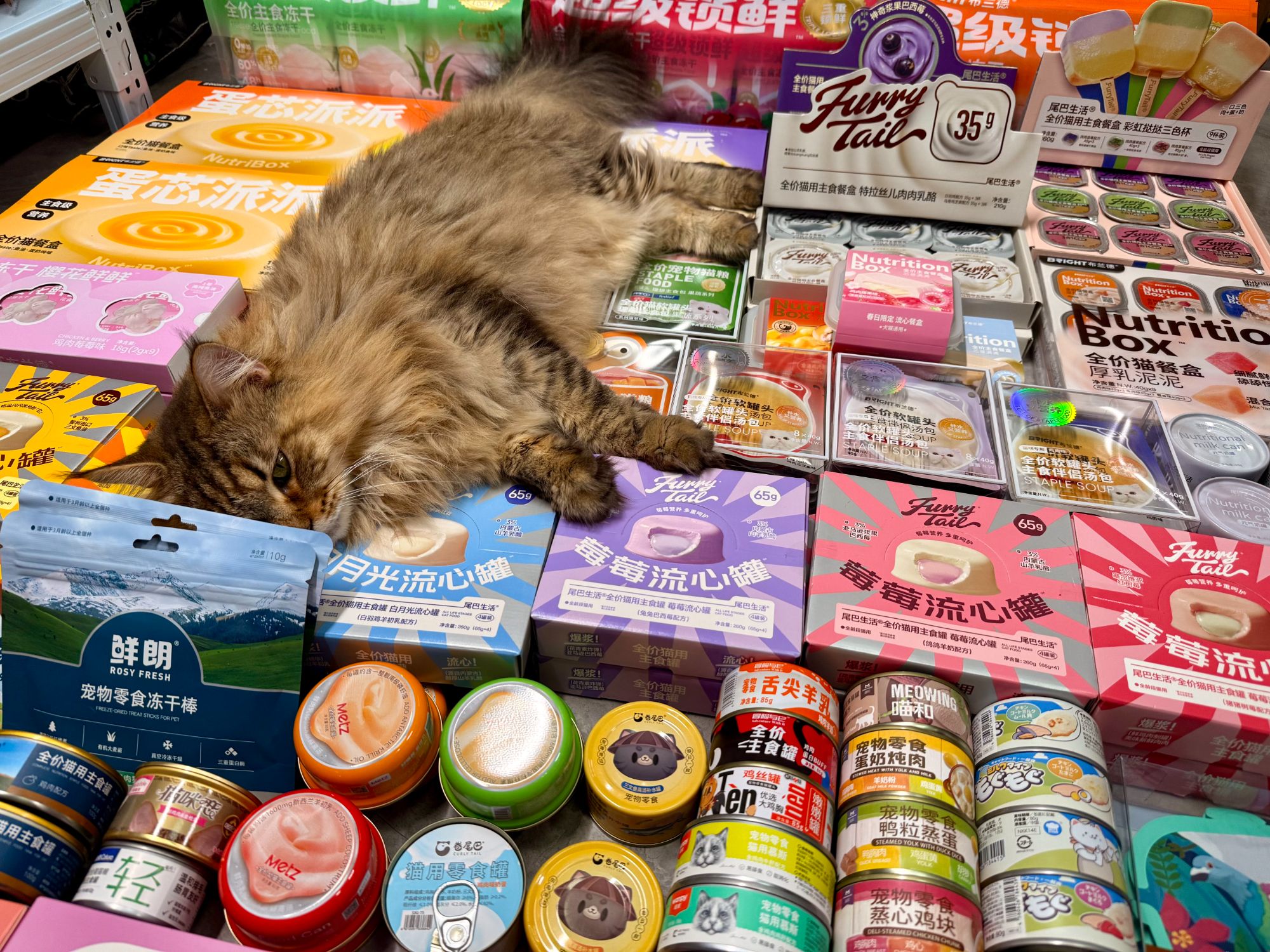 【随心配】猫咪零食罐头冻干超值随心配！！