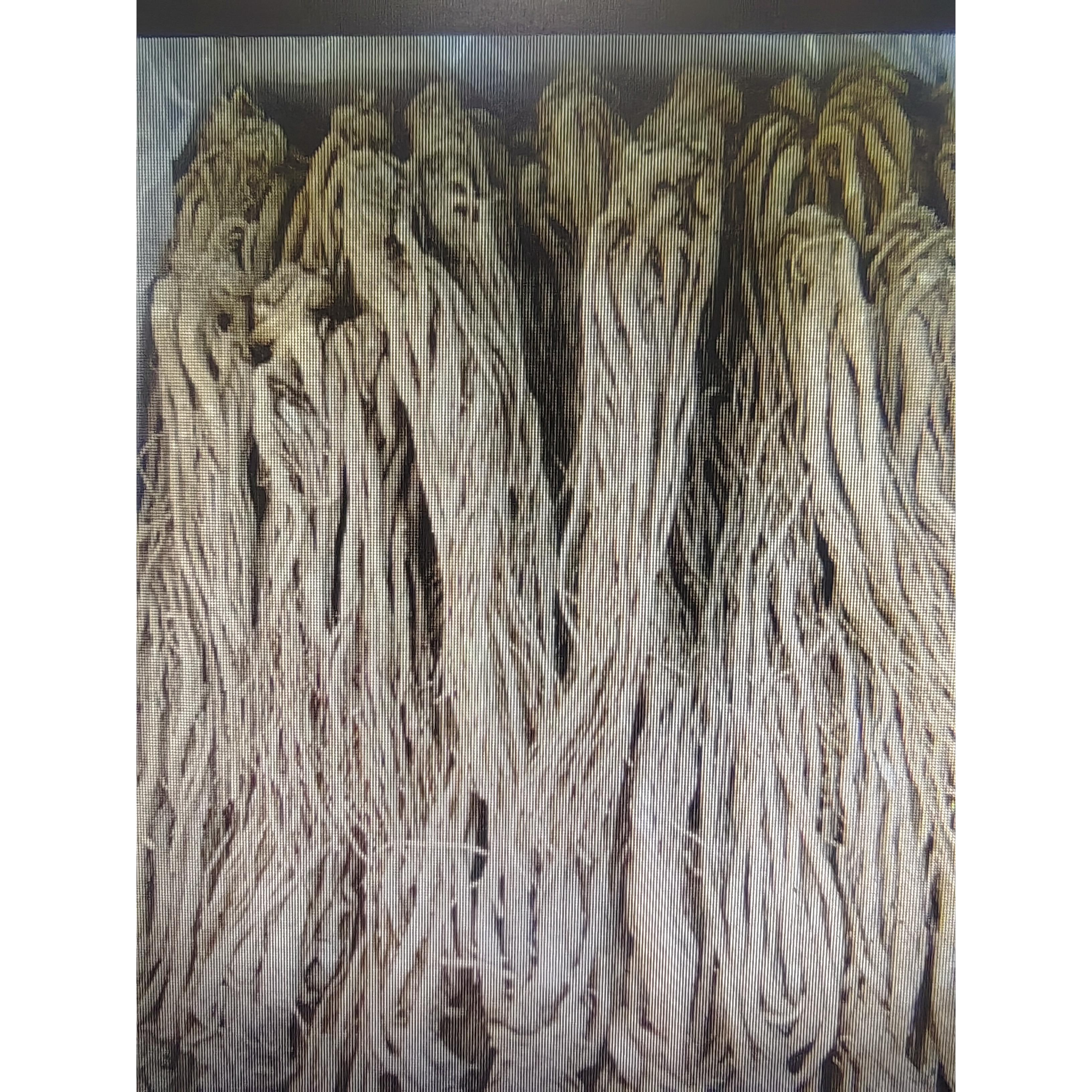 甘肃岷县高山干当归滋补气血无熏硫可煲汤泡酒