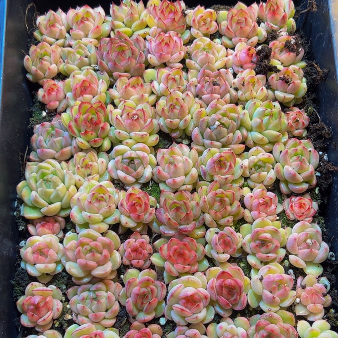 188点点滴滴的点点滴滴