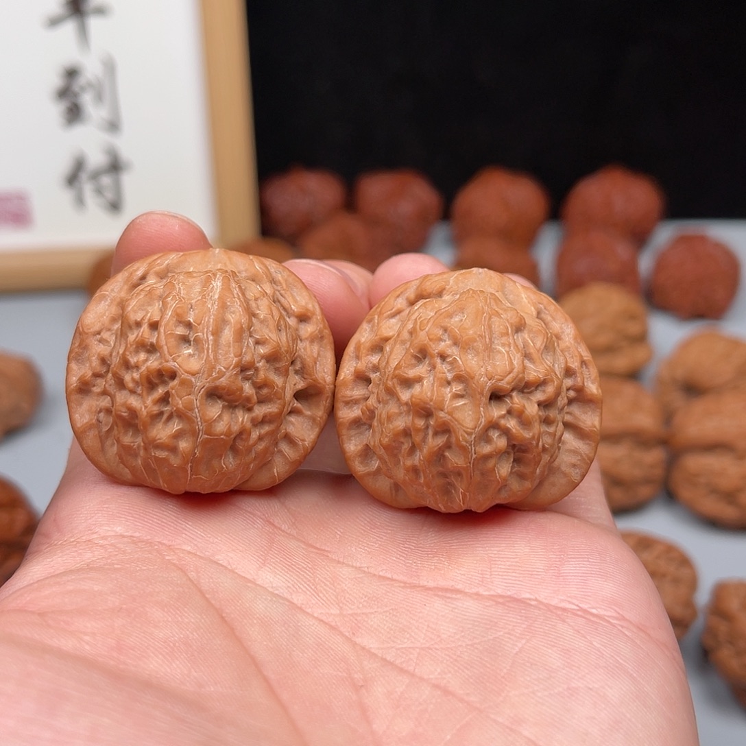 核桃平谷野生虎啸