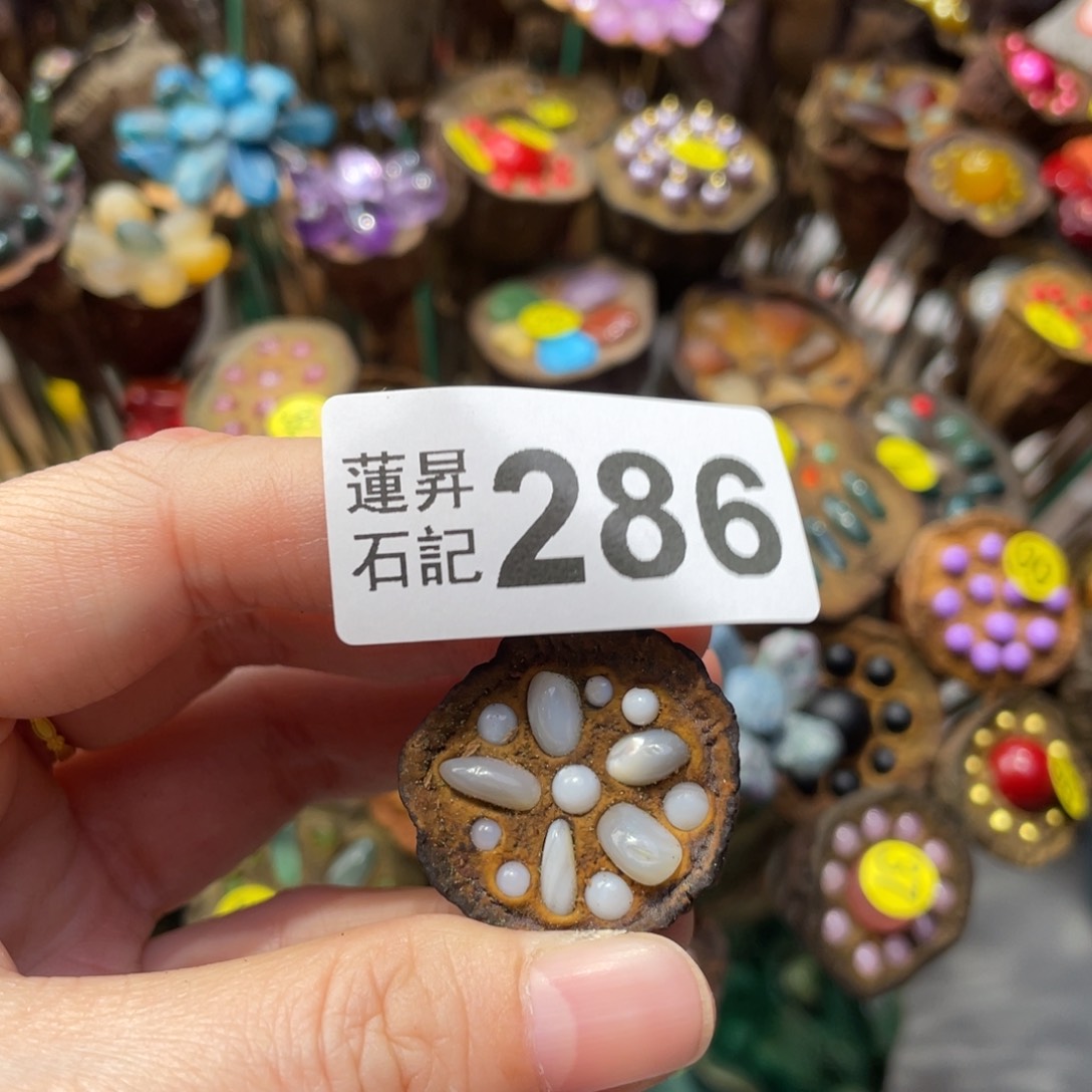 核桃木/黑胡桃（胡桃木）安****子286