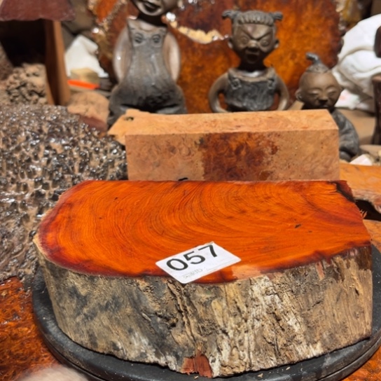 大果紫檀（缅甸花梨）