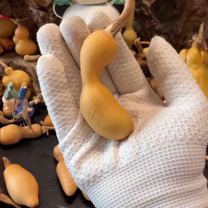 小***豹6…………………………………………