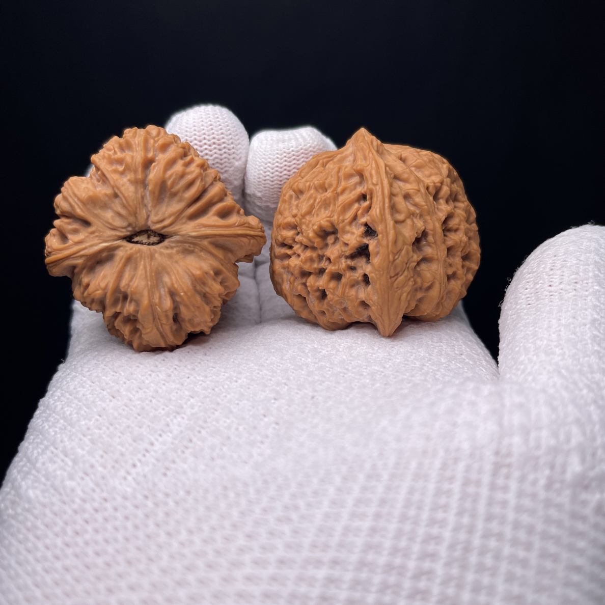 涿鹿南江核桃高炮尺寸42（编号A 138）