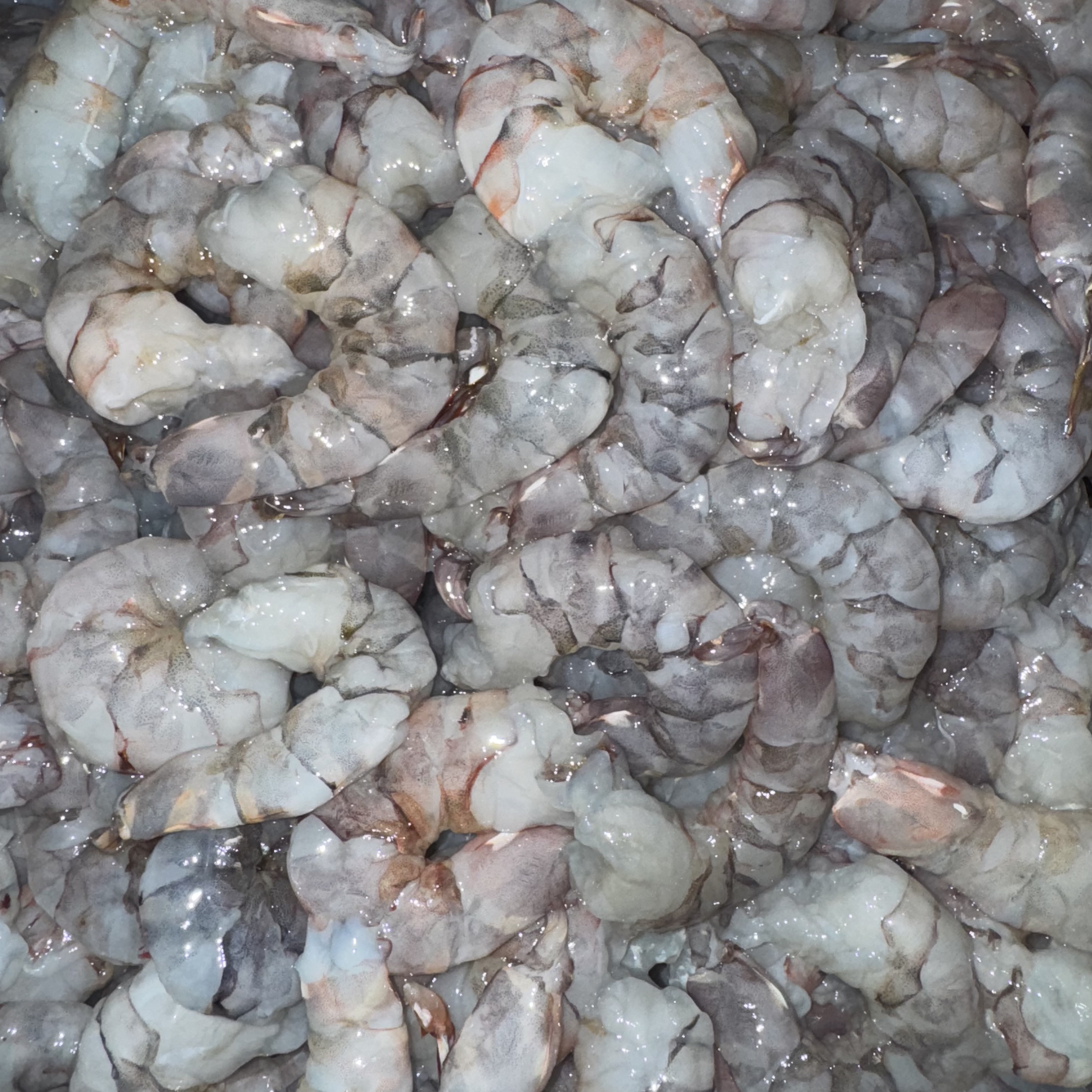 （野生红爪虾虾仁）