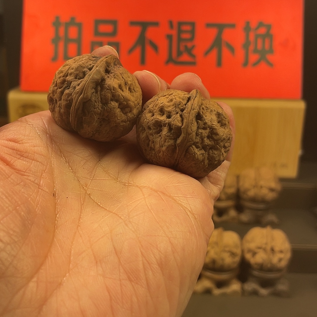 文玩核桃把件红河龙珠