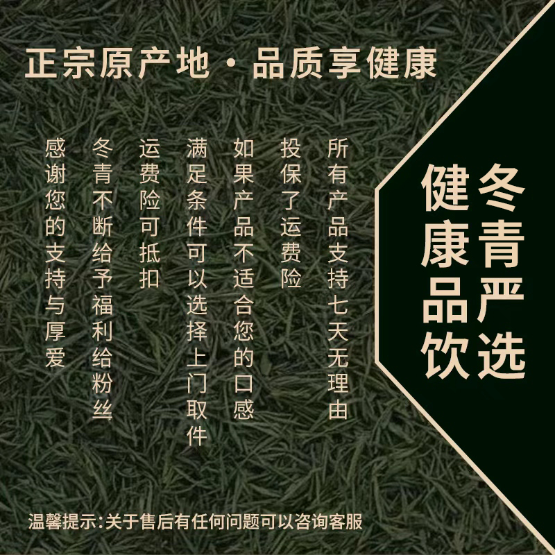 终南山朱砂血灵芝 秦岭高海拔产区 秋冬益生 冬青收茶