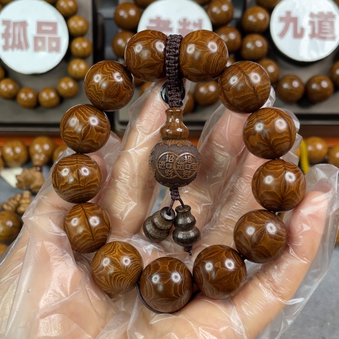 六道木枯树， 毕业1.8