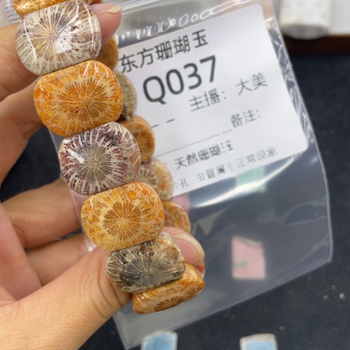 鱼***游硅化珊瑚（珊瑚玉）合金颈饰