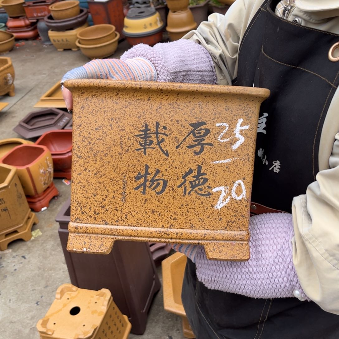 紫砂花盆盆景艺术