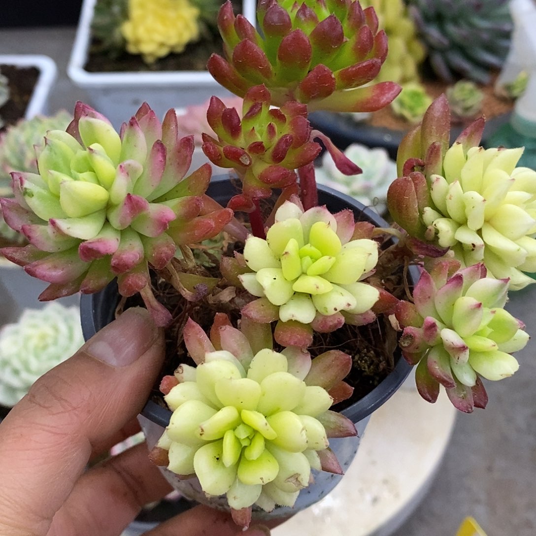 721哈哈哈哈哈哈哈哈