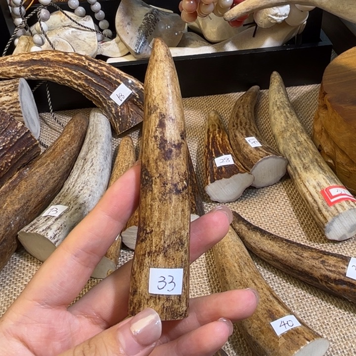 家***兴养殖梅花鹿鹿角尖