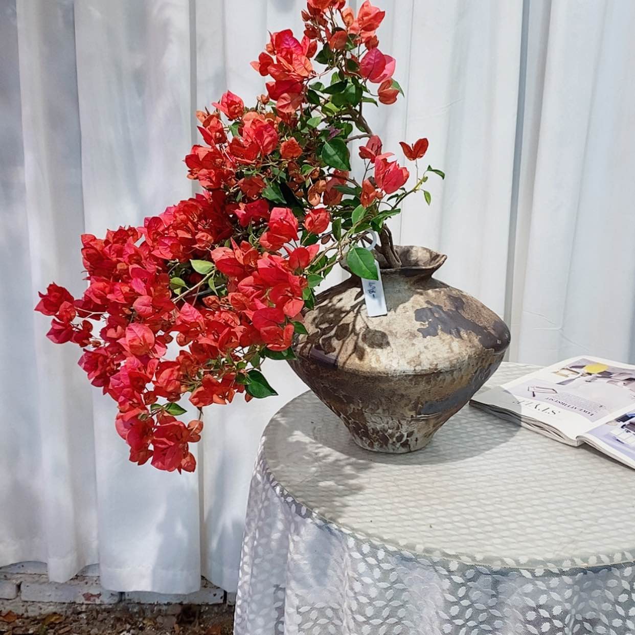 【闪购商品】完全开放噂*暗夕