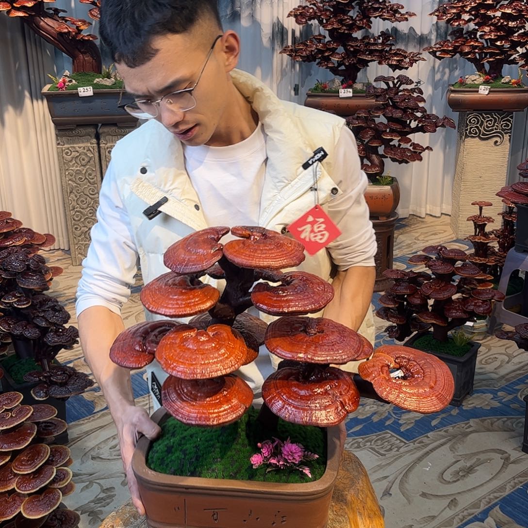 无花朵88888888888888