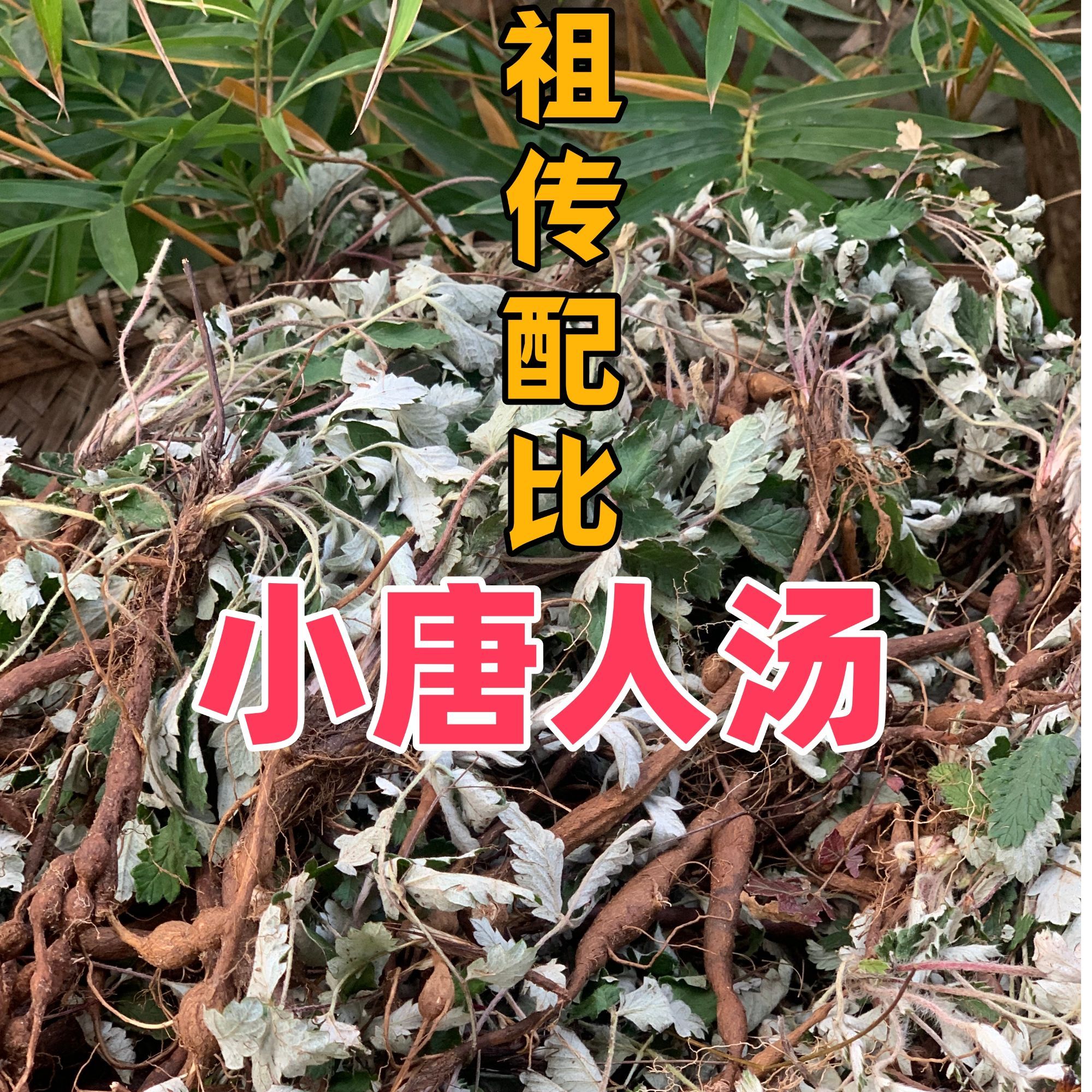 （小唐人汤）祖传配比麦冬翻白草绞股蓝麦冬天花粉等高山野生煲汤用