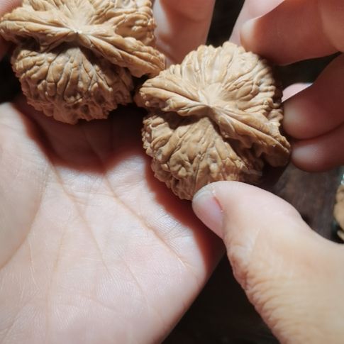 猴头核桃吊坠44白狮子